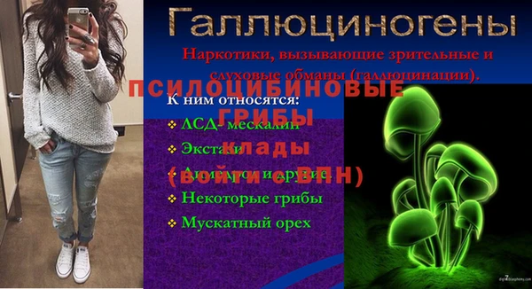мяу мяу мука Верхний Тагил