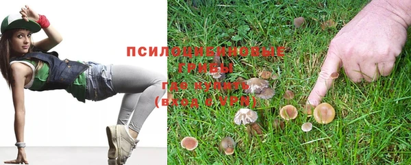 прущие крисы Верея