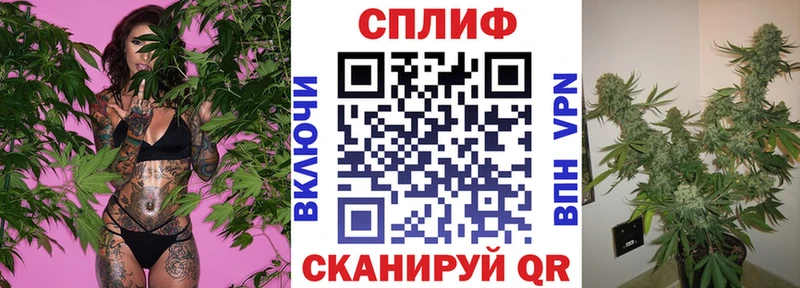 купить наркотик  нарко площадка наркотические препараты  МАРИХУАНА Bruce Banner  Каневская 
